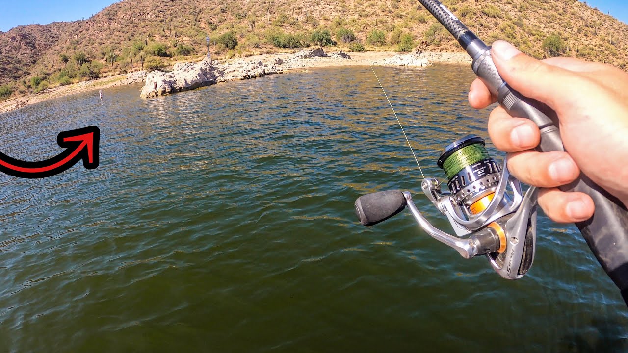 Load video: 5&quot; Drunkin Shad is a Dock Slayer