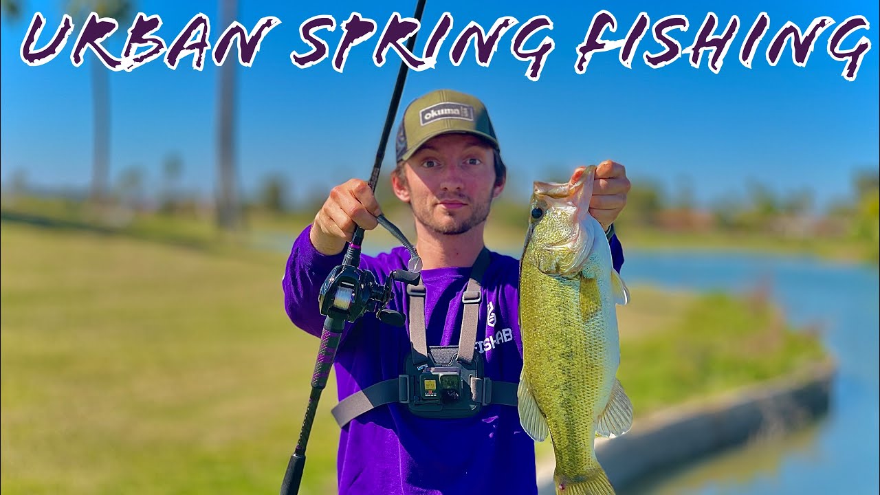 Load video: 3.3&quot; Phat Swimmer A Bass Slayer