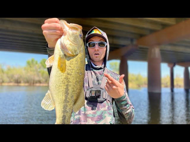 Load video: 4&quot; Swamp Monster - A Killer Flipping Bait